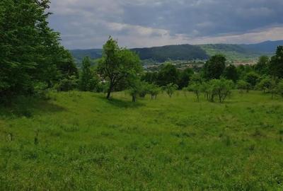 TEREN DE VANZARE PENTRU INVESTITII IN MANASTIREA CASIN TEREN DE VANZARE PENTRU INVESTITII IN MANASTIREA CASIN - 5