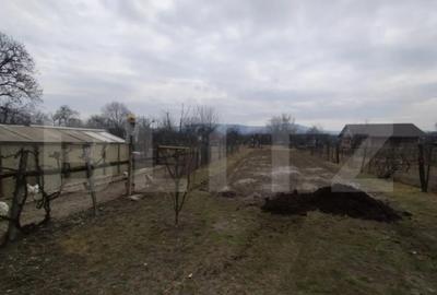 Casă cu 4 camere cu Teren 3000 Mp în Livezile - 2