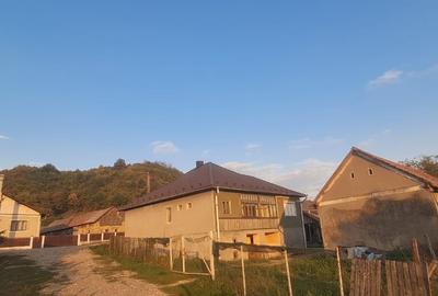 Casă individuală cu 3 camere cu Teren 1400 Mp în Rusu de Sus - 4