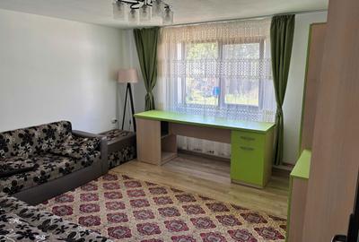 Casă cu 2 camere în Valea Pechii - 7