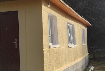 Casă cu 2 camere în Băița - 3