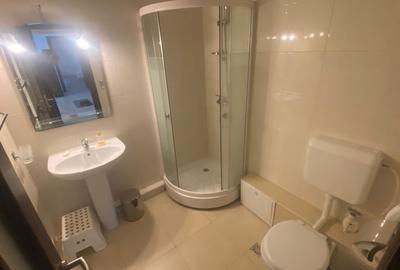 Apartament cu 2 camere decomandat în Nerva Traian - 7