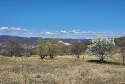 17 ha Valcea - superficie - parc fotovoltaic - 2