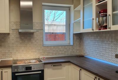 Casa de vacanta | Curte | Teren | Belciugatele | Calarasi - 19