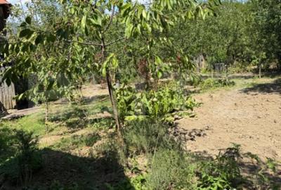 Casă cu 4 camere cu Teren 1053 Mp în Central - 2