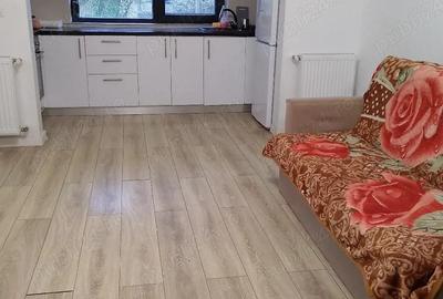 Garsonieră nedecomandată în Vest - 2