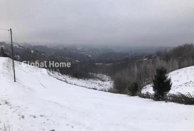 Teren 725 MP | Moieciu de Jos | Piatra Craiului | Oportunitate de investitie | - 2