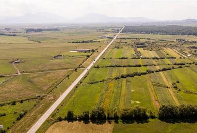 Teren extravilan Lunca Calnicului langa E574 - 13