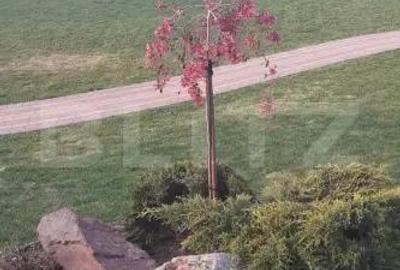 Casă cu Teren 2743 Mp în Sud - 16