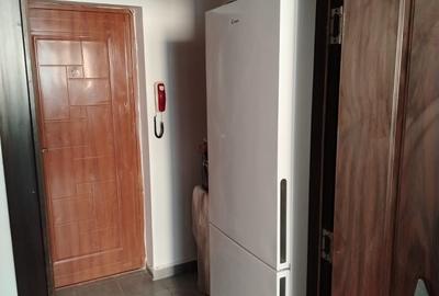 Pta Veteranilor Lujerului renovata - 6