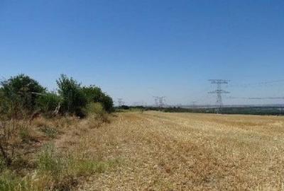 Teren extravilan Cernavoda, ID: R2755634 - 4