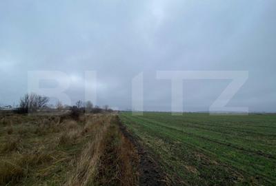 Teren de 41000 mp, în Ișalnița - 3