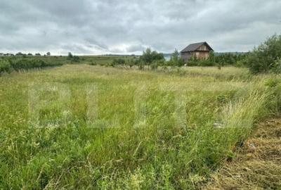 Teren intravilan pentru investit 5200 mp - 1