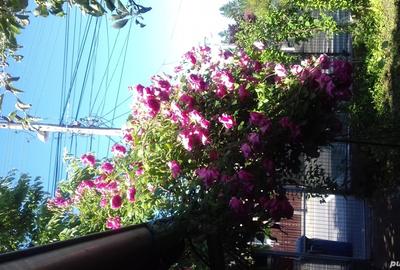 Proprietate de vanzare pe Vale Prahovei Casa ?i teren), in ora?ul Campina - 3