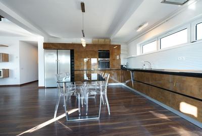 Panoramic View to Herastrau Lake, 5 rooms apartment - 12