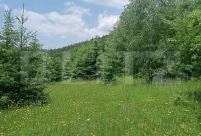 Teren în Scărișoara - 4