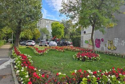 Apartament 2 camere, Podu Ros - etaj 1 - liber - 5