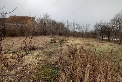 Proprietar- Ideala ptr. locuit, azil, clinica etc. - 7