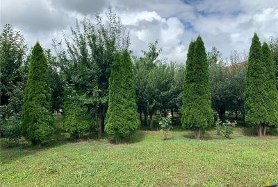 1.300mp teren intravilan,livada,utilitati,locatie premium:rezidential/comercial: - 4