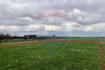 Teren de 500 mp, în Cărpiniș