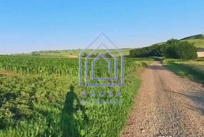 Teren de 7400 mp, în Moara