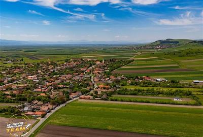 Teren Construcții intravilan de 1149 mp, în Exterior Est - 43