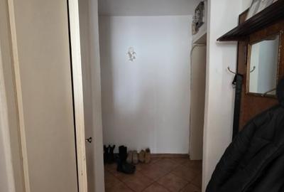 Apartament cu 2 camere semidecomandat în Tătărași - 7