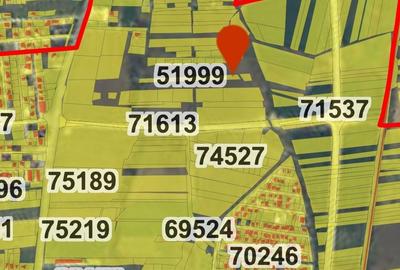 Spațiu comercial, în Sânmartin - 7