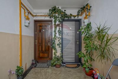 Apartament cu 3 camere de vanzare, Florilor Rasnov, Comision 0% - 19