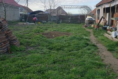 Casă cu 2 camere cu Teren 4200 Mp în Bogei - 2