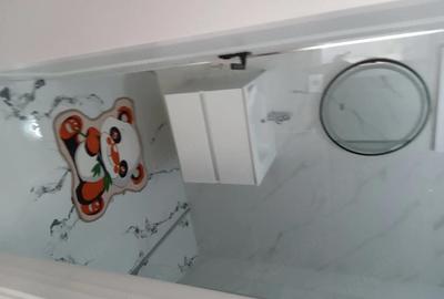 Apartament cu 2 camere decomandat în Căciulata - 8