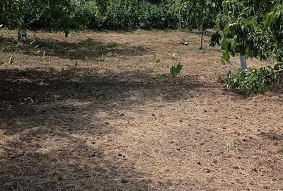 Casă cu 4 camere cu Teren 1890 Mp în Orbeni - 7