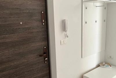 Apartament cu 2 camere decomandat în Calea Urseni - 10