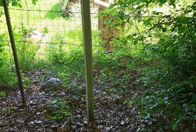 Spațiu comercial, în Făget - 3