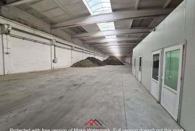 Hale noi in Baicoi, Ph--13.000mp--3e - 2