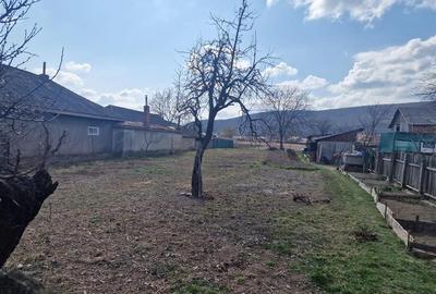 Teren intravilan de 2000 mp, în 9 Mai - 2