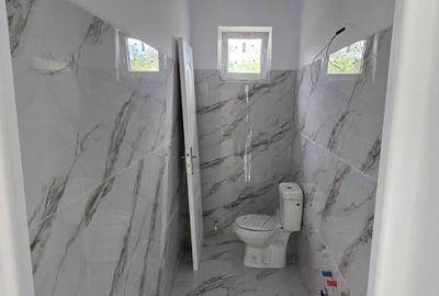 Casă cu 3 camere în Viile Satu Mare - 2