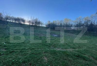 Teren Intravilan 1890mp Oarda de Sus - 1