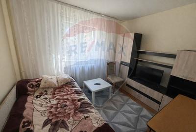 Apartament cu 2 camere decomandat, mobilat în Cetate - 5