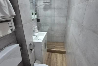 Ultracentral, garsoniera de inchiriat - 3