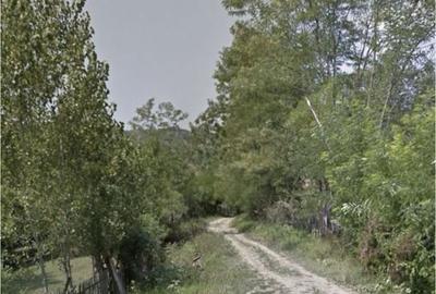 Teren de 5000 mp, în Vișinești - 2