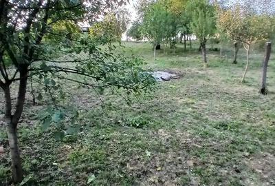 Vand casa Husasau de cris 12 km Oradea - 8