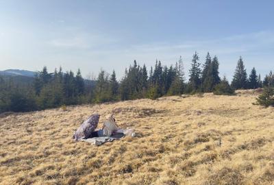 Spațiu comercial, în Roșu - 1