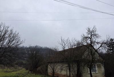 Casă cu 3 camere în Zăuan - 4