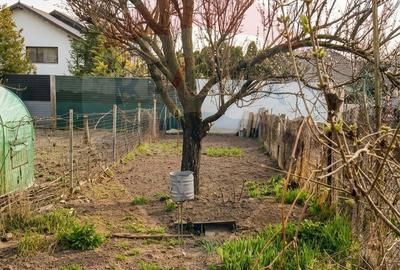 Apartament cu 2 camere nedecomandat în Central - 1