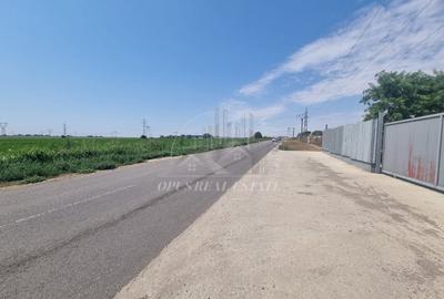 Teren 2ha(langa Ferma Stoian) - 4