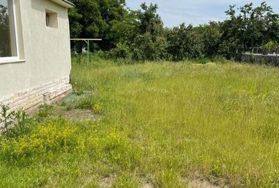 Casa 5 camere Sannicolau Mic - 9