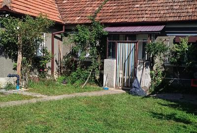 Casa cu gradina in Ale?d - 3
