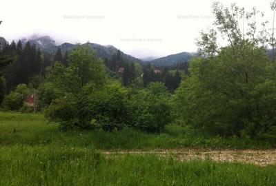 Teren intravilan Cotul Donului,pretabil Hotel/pensiune. - 3