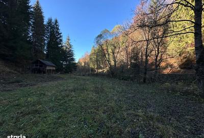 Teren de 2882 mp, în Dâmbovicioara - 17